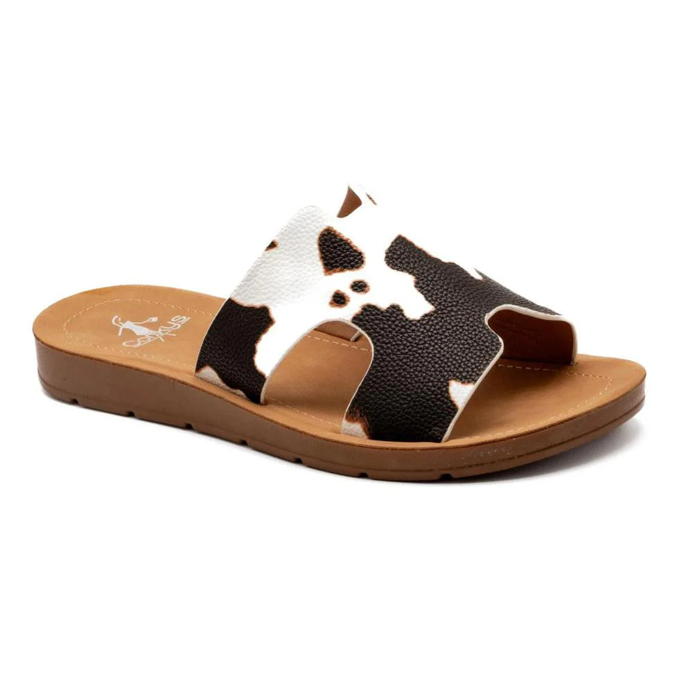 Bogalusa Cow Smooth Slip On