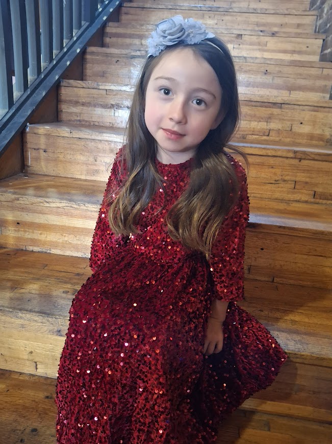 Cranberry Velvet Sequin Dress