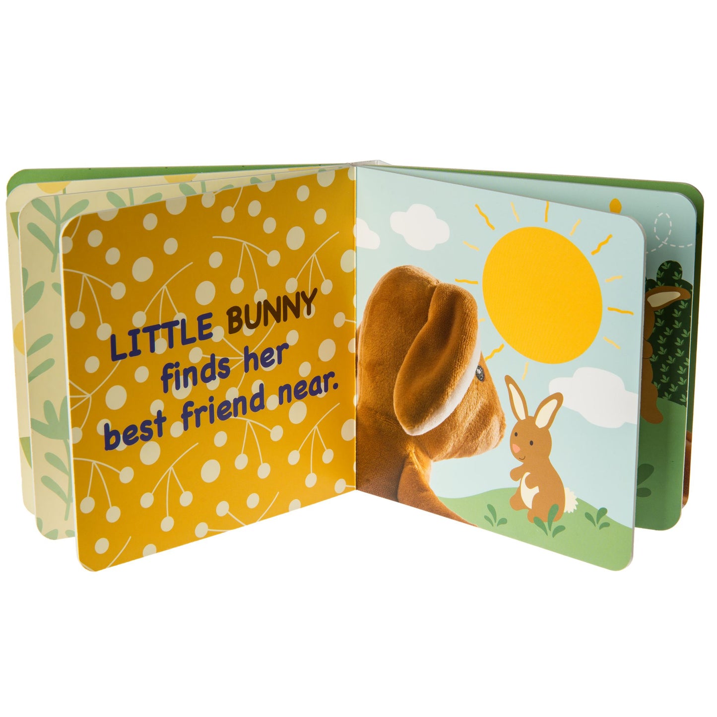 Little Bunny Board Book
