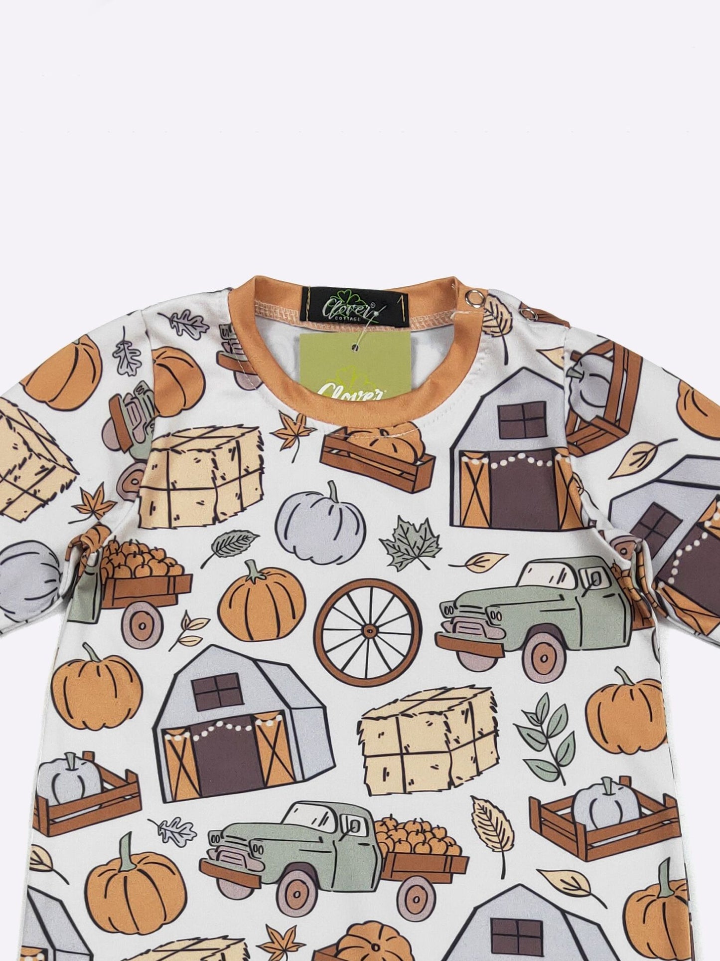 Pumpkin Patch Boy Romper