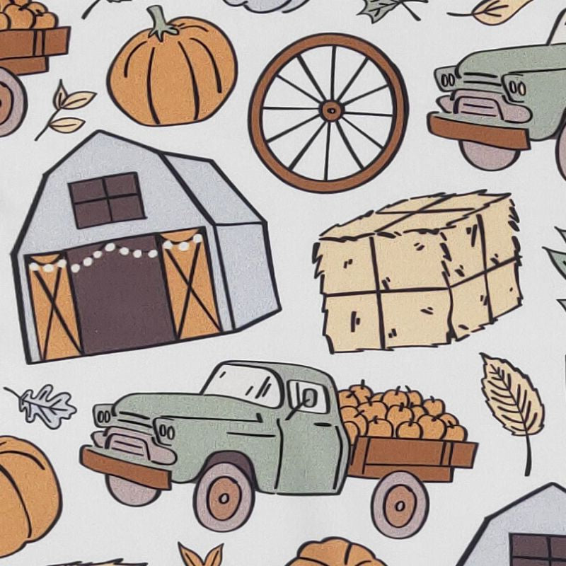 Pumpkin Patch Boy Romper