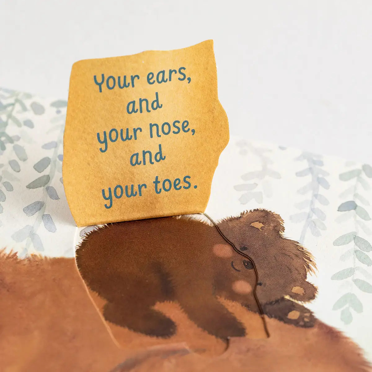 Holley Gerth - Today and Always, This is True, God Loves You - Board Book