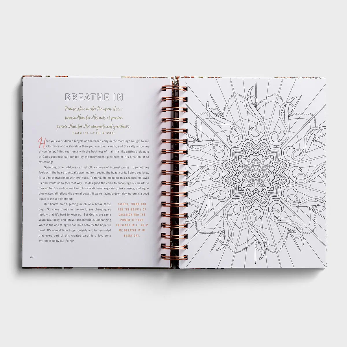 Set Your Mind on Things Above: Devotional Coloring Book