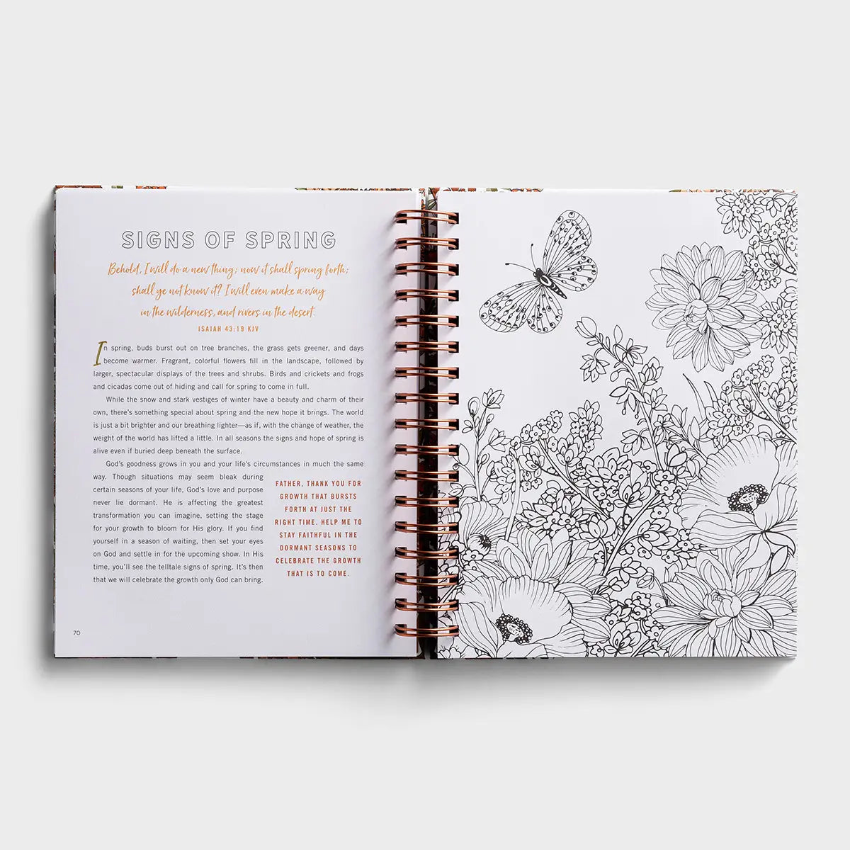 Set Your Mind on Things Above: Devotional Coloring Book