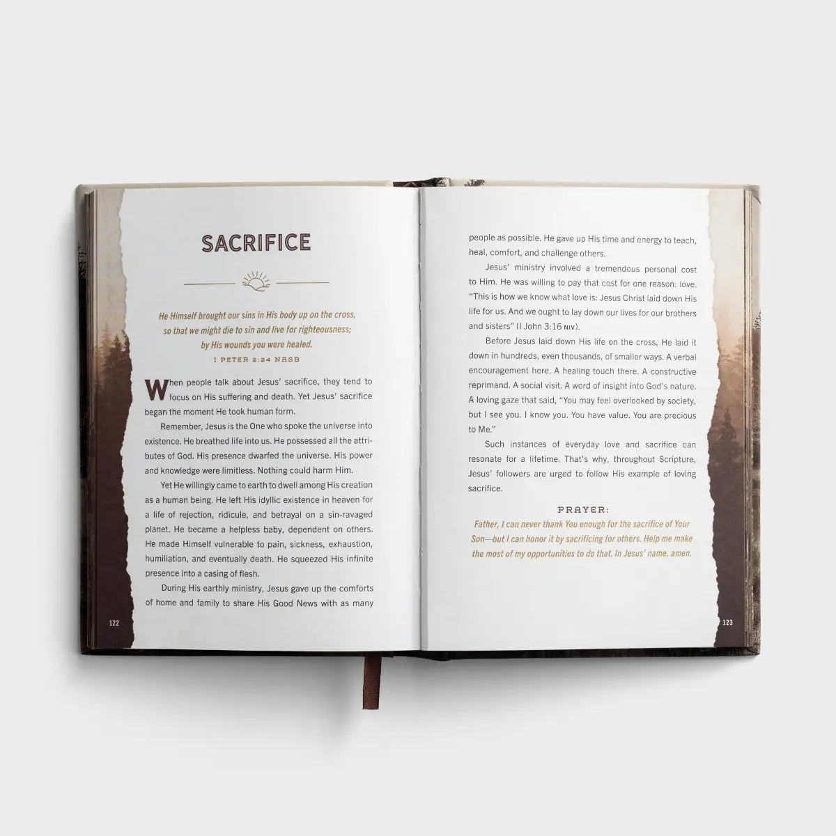 Designed for Greatness: Devotions for Men