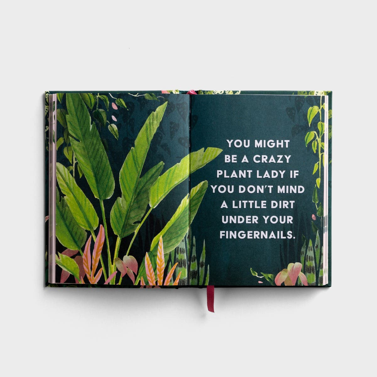 Playing In he Dirt 90 Devotions for the crazy plant lady
