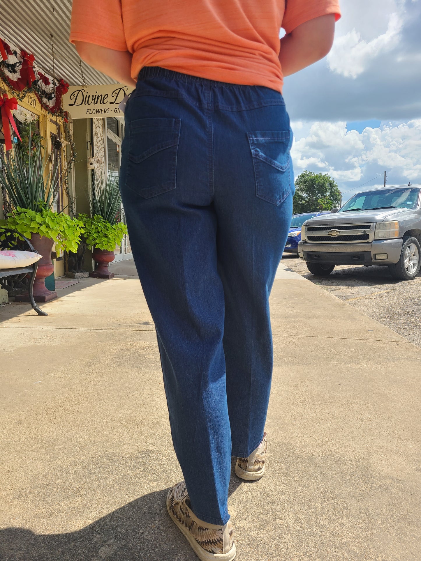 Denim Dynamic Pant (Petite)