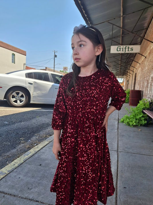 Cranberry Velvet Sequin Dress