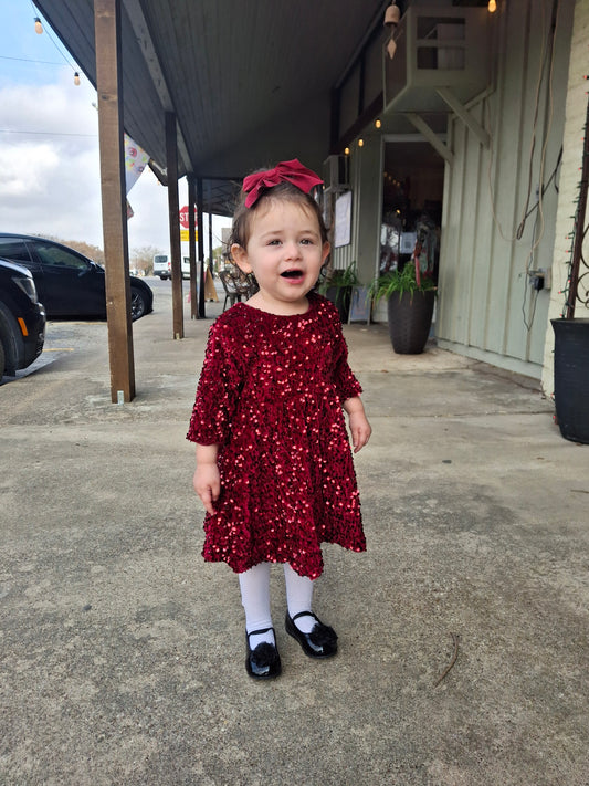 Cranberry Velvet Sequin Dress