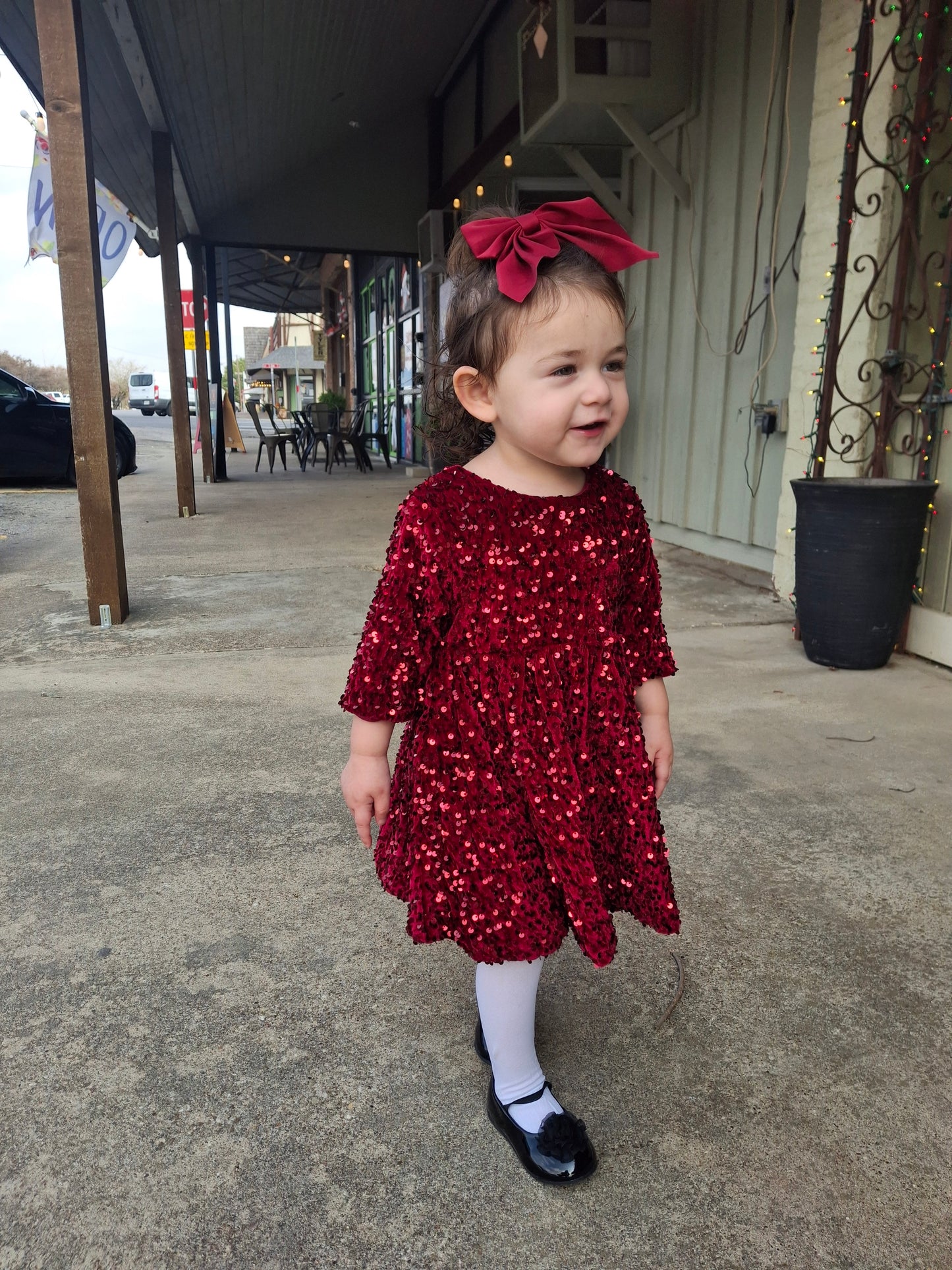 Cranberry Velvet Sequin Dress