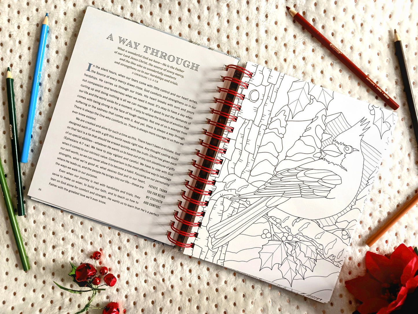 Cozy Moments to Calm Your Heart: Devotional Coloring Book