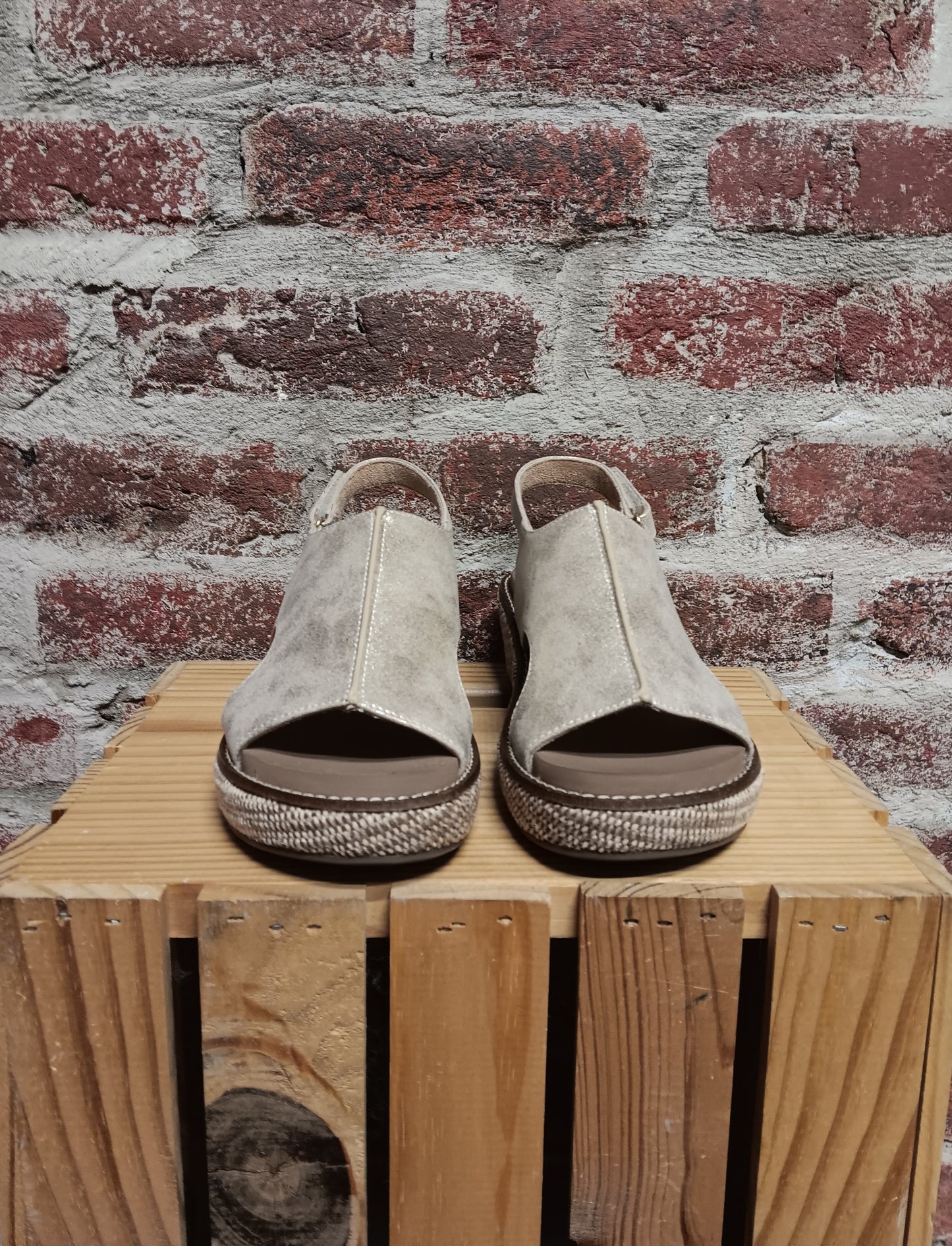 Volta ll Washed Gold Wedge Shoe