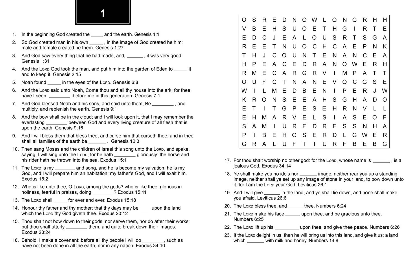 Bible Memory Verse Challenge Word Search