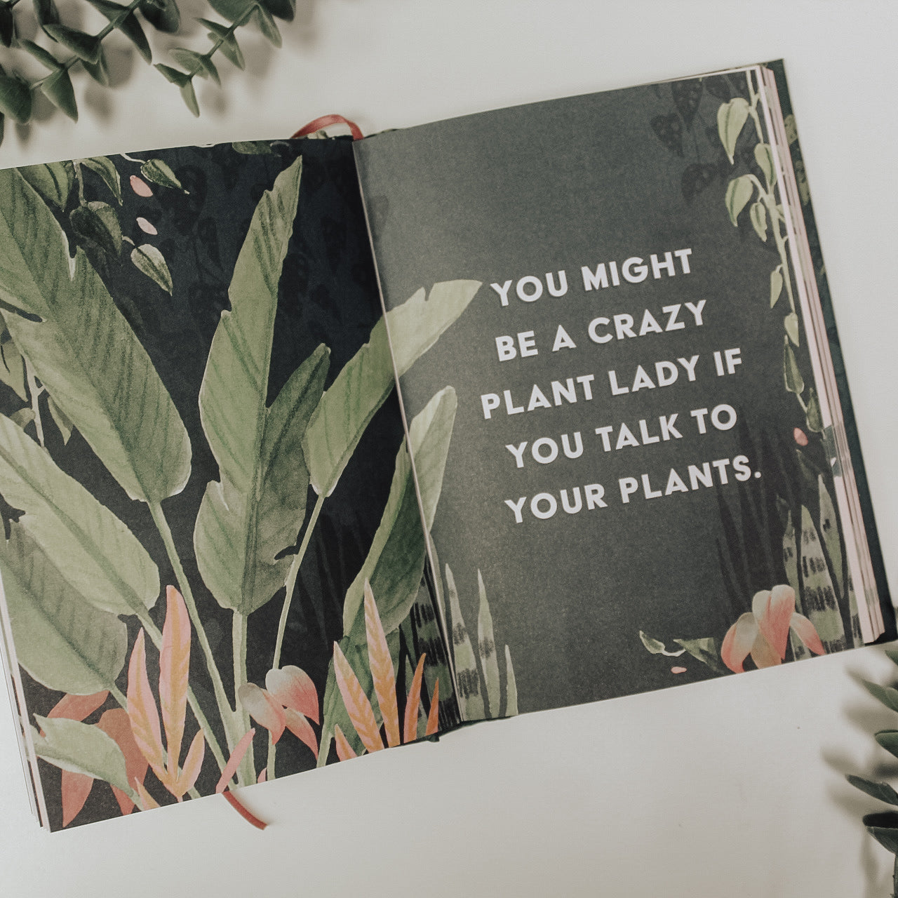 Playing In The Dirt: 90 Devotions for Crazy Plant Ladies
