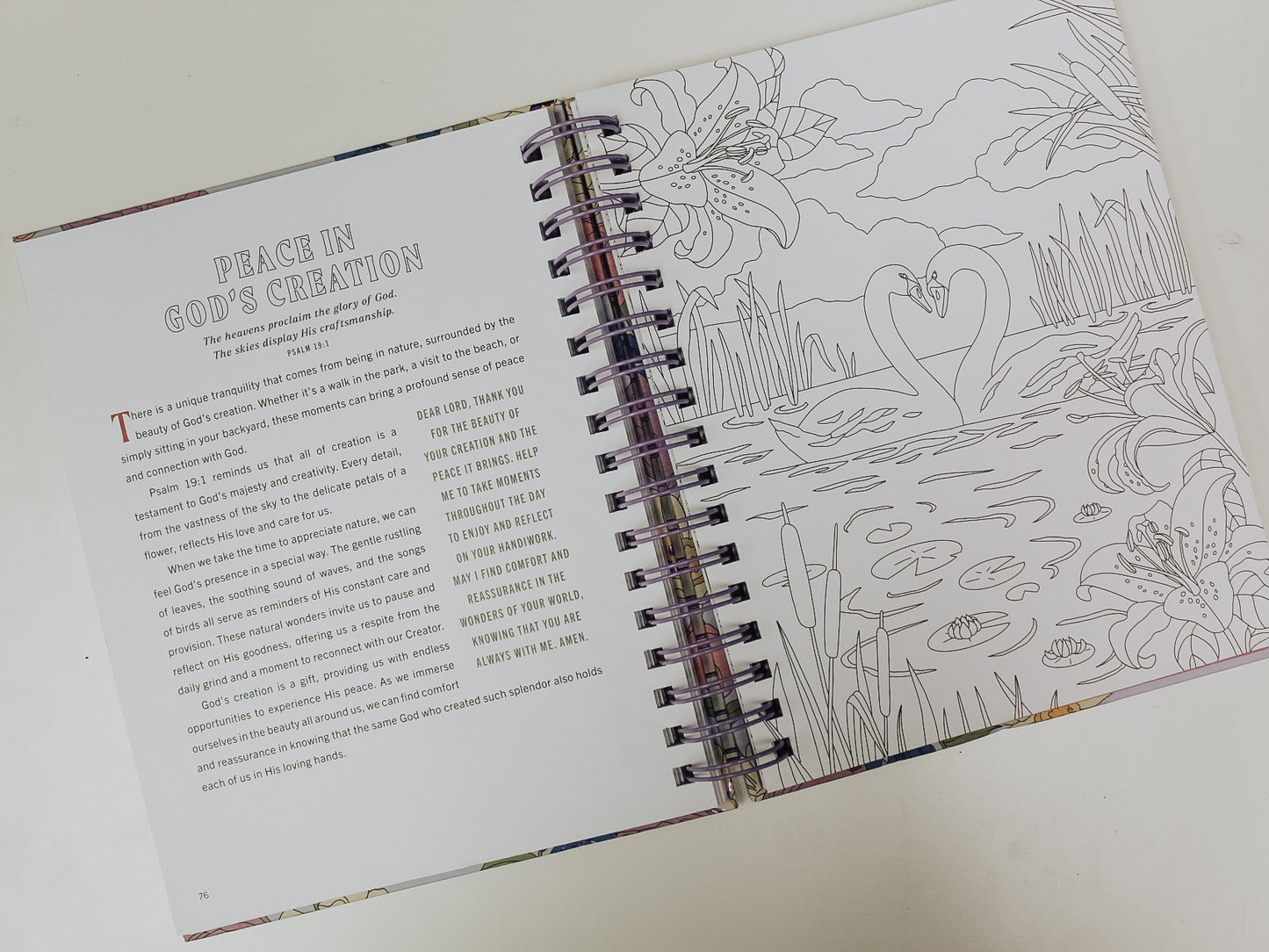 Finding Peace in God's Embrace: Devotional Coloring Book