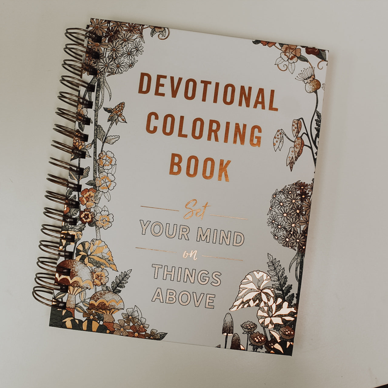 Set Your Mind on Things Above: Devotional Coloring Book